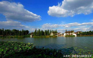 中国千强镇前十强 被江苏 广东两省瓜分殆尽,浙江无一入围