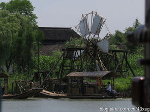 游走在沙家浜湿地公园