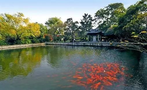 夜宿灵山小镇拈花湾沙家浜宋城千古情金茂大厦纯玩六日游