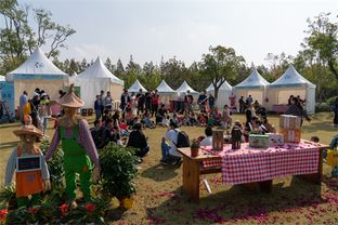 30天吸粉40万,2019长兴岛郊野公园两节圆满闭幕,沙家浜旅游再掀热潮