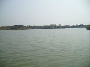 红色经典之旅 探访常熟沙家浜革命圣地