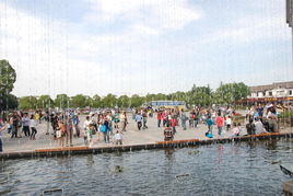 国庆沙家浜旅游集锦——看看镜头里有你么