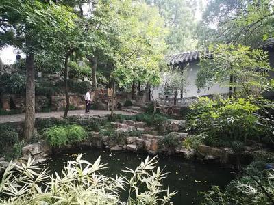 国庆黄金周苏州旅游市场繁荣，沙家浜接待游客700万人次创佳绩