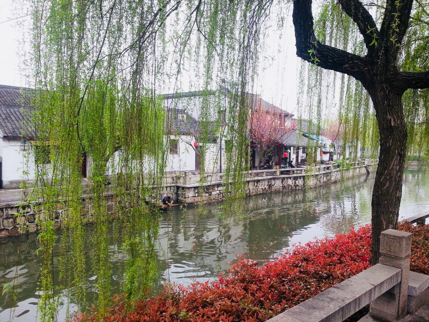 深度旅游沙家浜 从历史深处走来的另一种体验