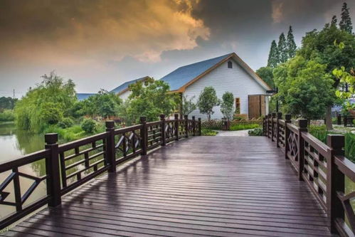 丰收季，乡村游 常熟沙家浜，不止稻香鱼肥